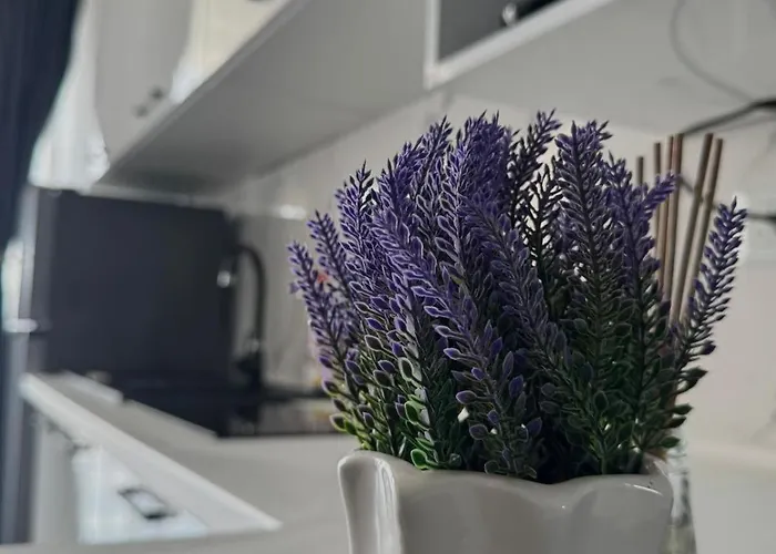 Nubia Sea View 1 דירה *